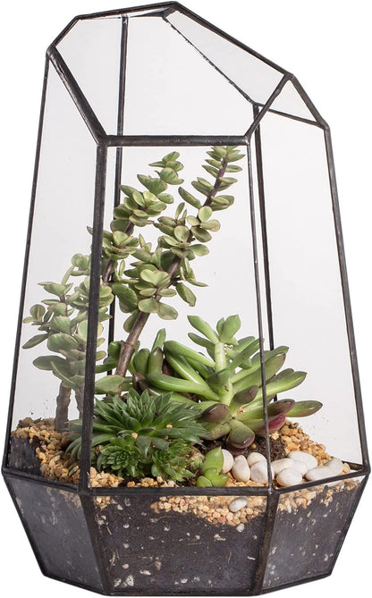 Geometric Glass Terrarium Planter for Succulent, Small Cacti, Black Irregular Opened Container Pot, Indoor Home Garden Office Tabletop Decor, 6.5" X 5.7" X 9.8" (No Plants, No Door)